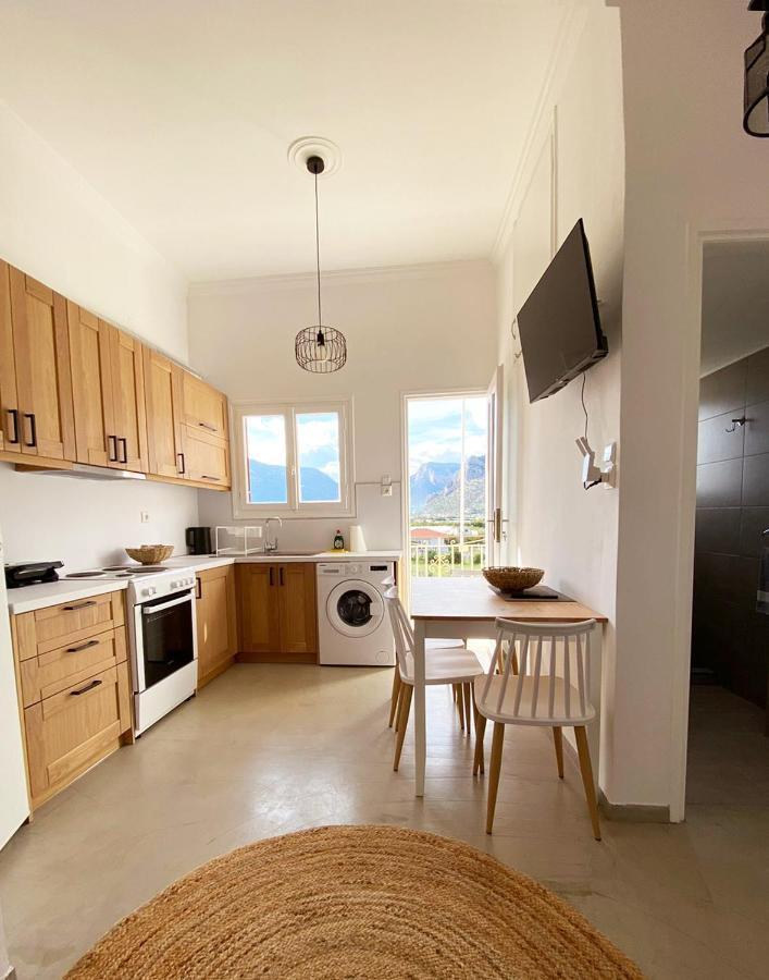 Thassa Beach Apartment No6 Leonídion Buitenkant foto